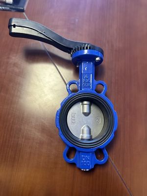 OEM Port Grootte gietijzer Extensie vlinder klep met ondersteunende after-sales service