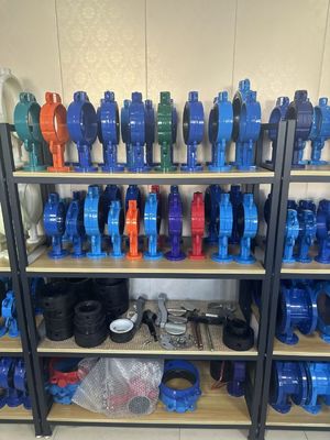 OEM Port Grootte gietijzer Extensie vlinder klep met ondersteunende after-sales service