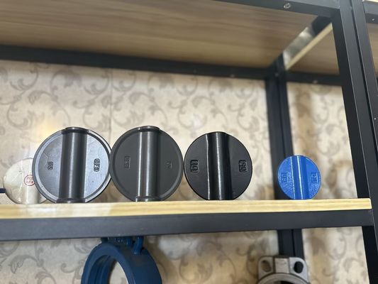OEM Port Grootte gietijzer Extensie vlinder klep met ondersteunende after-sales service