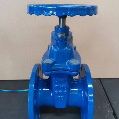 Temperatuur van het medium Hoogtemperatuurcontrole water PN20 Afvoerpoortklep