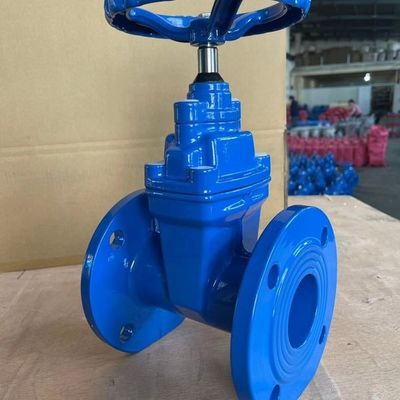 Watermedium DN600 PPR Fitting Gate Valve met OEM-flexibiliteit aangeboden