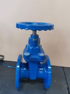 Watermedium DN600 PPR Fitting Gate Valve met OEM-flexibiliteit aangeboden