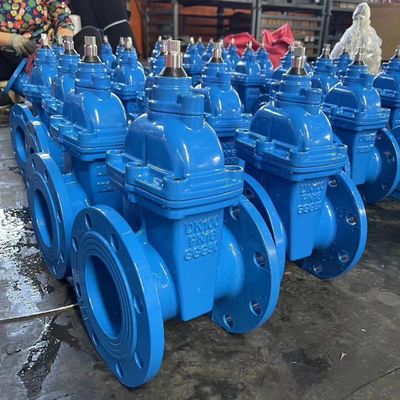 GB DIN ANSI GOST-standaard 300psi 75mm poortklep voor industriële toepassingen