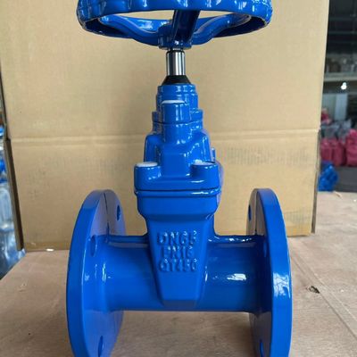 GB DIN ANSI GOST-standaard 300psi 75mm poortklep voor industriële toepassingen