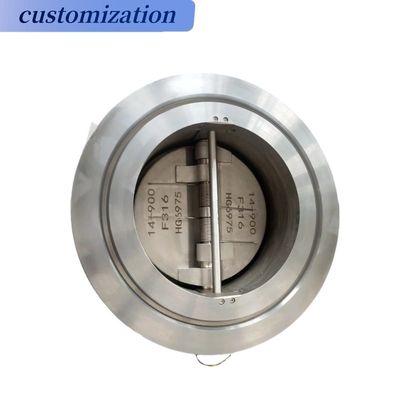 Swing Check Valve Ansi Wcb Drain Valve met aangepaste poortgrootte