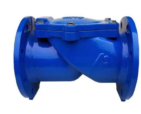 Middeltemperatuur DN100 Pn16 Asine gietijzer rubber flapper checkvalve voor OEM ondersteuning