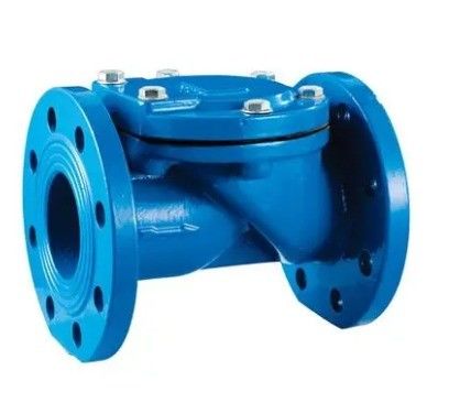Middeltemperatuur DN100 Pn16 Asine gietijzer rubber flapper checkvalve voor OEM ondersteuning