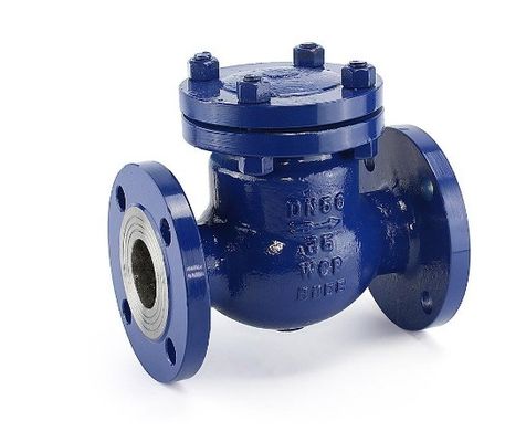 Hoogtemperatuur schommelklep Dn 600 Cf8m met ODM op maat