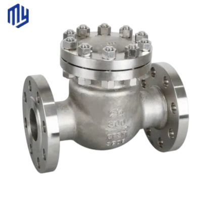Roestvrij staal DN200 8 inch Two Way PN16 Double Flange Type Non-Return Swing Check Valve