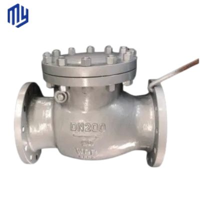 Roestvrij staal DN200 8 inch Two Way PN16 Double Flange Type Non-Return Swing Check Valve