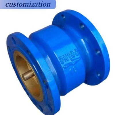 Silent waterpomp controle klep 3 1/2 inch metalen zit met klant vereisten