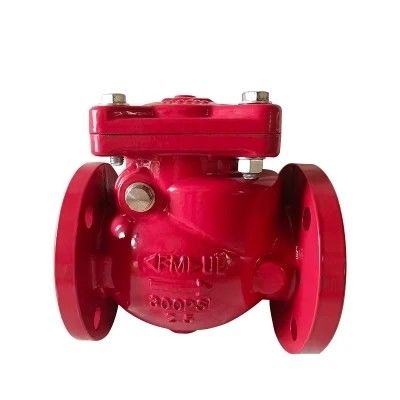 Gepersonaliseerde ondersteuning Non Return Gas Swing Check Valve DN 600 voor gas media en OEM ondersteuning