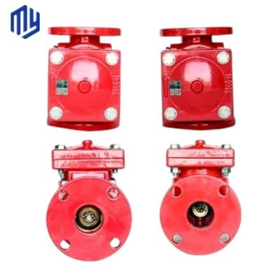 Ansi 6" gietijzer Swing Check Valve Niet-Retour Drain Valve met Customized Service