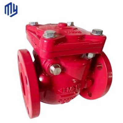 Ansi 6" gietijzer Swing Check Valve Niet-Retour Drain Valve met Customized Service