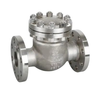 Op maat gemaakte service Multi Single Disc Door Flanged Swing Type Check Valve Drain Valve