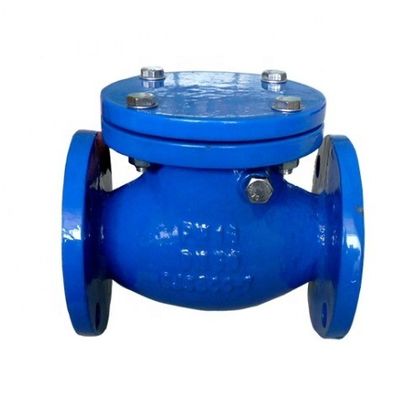 Flanke Joint Ends BS Standard Swing Check Valve voor op maat gemaakte oplossingen voor OBM en meer