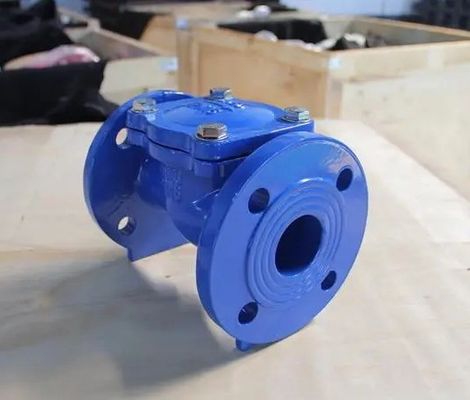 Flanke Joint Ends BS Standard Swing Check Valve voor op maat gemaakte oplossingen voor OBM en meer
