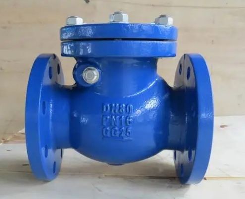 Ductile ijzer flensterde koperen stoel swing check valve met aangepaste poort grootte niet terug te keren