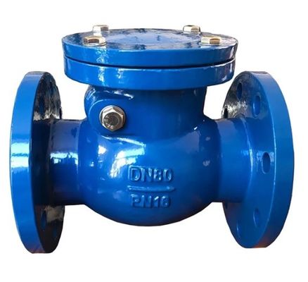 Ductile ijzer flensterde koperen stoel swing check valve met aangepaste poort grootte niet terug te keren