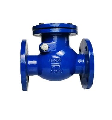 Handmatige bediening PN16 Flanged Ductile Iron Swing Check Valve voor aangepaste poortgrootte