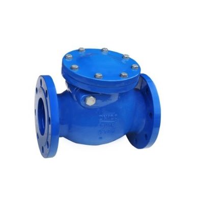 Handmatige bediening PN16 Flanged Ductile Iron Swing Check Valve voor aangepaste poortgrootte
