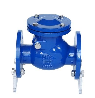 OBM ondersteund roestvrij staal gietijzer DIN Standard Flanged Check Valve voor B2B koper