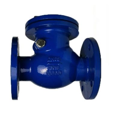 Dubbele flens gietijzer ggg50 DI Swing Check Valve voor Y-type structuur ANSI Standard