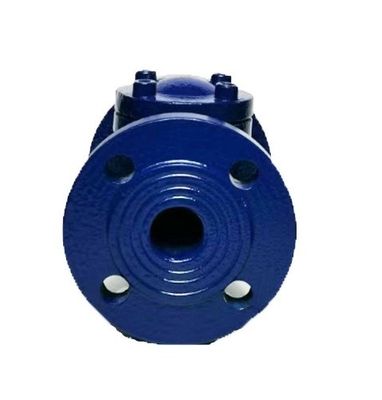 Gepersonaliseerde poortgrootte ASME API ANSI Flanke Bolted Bonnet 316 roestvrij staal Swing Check Valve