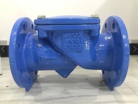 Op maat gemaakte service 2 inch 3 inch 4 inch ductiel ijzer ANSI flens rubberen schijf check klep