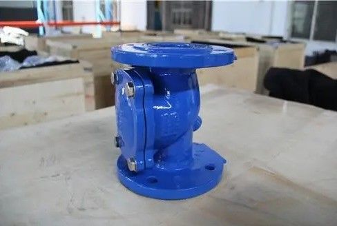Op maat gemaakte service 2 inch 3 inch 4 inch ductiel ijzer ANSI flens rubberen schijf check klep