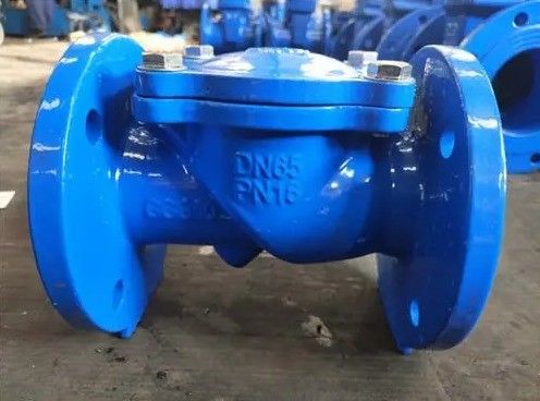 Gepersonaliseerde DN50-DN600 non-return double plate check valve voor industriële toepassingen