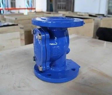 Gepersonaliseerde DN50-DN600 non-return double plate check valve voor industriële toepassingen