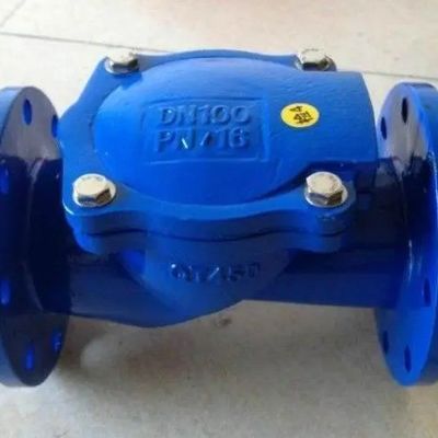 Gepersonaliseerde DN50-DN600 non-return double plate check valve voor industriële toepassingen