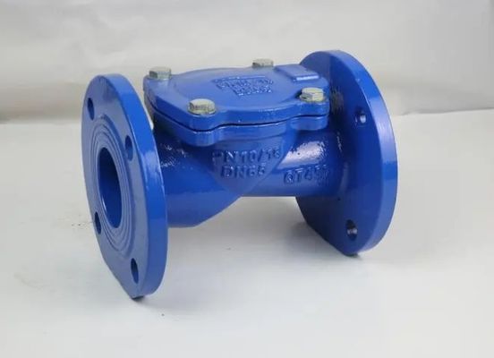 Gepersonaliseerde DN50-DN600 non-return double plate check valve voor industriële toepassingen