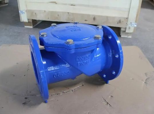 Ondersteuning naverkoopdienst Ductiel ijzeren flens rubberen flap checkklep DN50-DN600