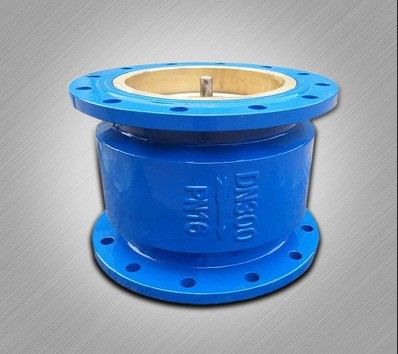 DN65 gietijzeren stilstaande controleventil voor energiebesparing in water en OEM-poortgrootte