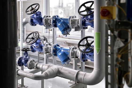 Stop structuur roestvrij staal globe klep en montage voor op maat gemaakte eisen