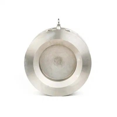 Watermedium DN 50 Wafer Lift Single Plate Swing Check Valve Vlekkeloos staal Flanche Pn25