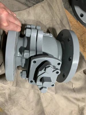 Vlinderstructuur Mechanische kogelklep Afvoerklep met uitstekende en structuur