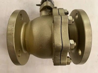 150 ASME B16.5 Wcb Gegote koolstof CF8 CF8m Bronzen vlotbalk van roestvrij staal