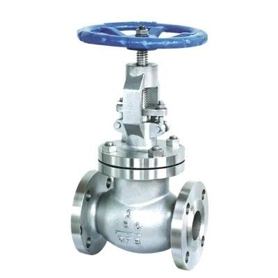 Watermedium 1500LB F304 SS304 SS316 roestvrij staal lange stam cryogene klep globe klep