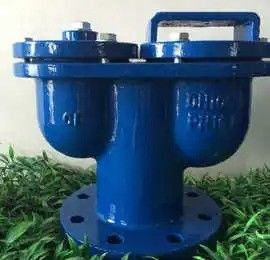 Industriële dubbele opening automatische luchtontlading voor lage-temperatuurluchtregeling
