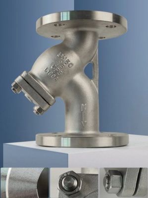 Algemeen roestvrij staal CF8/CF8M Lage temperatuur koude behandeling 40 Mesh RF Ends Y Strainer