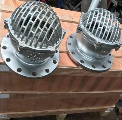 Gietijzer waterpomp voetklep met roestvrij staal 304 Mush PN10 PN16 ANSI en ondersteuning