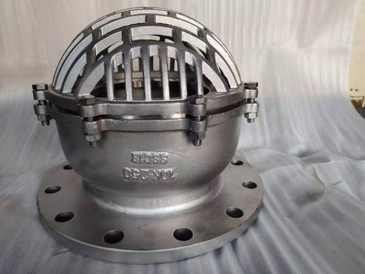 DN150 PN16 GGG50 Ductiel ijzeren voetklep met roestvrijstalen strainer voor straalpomp