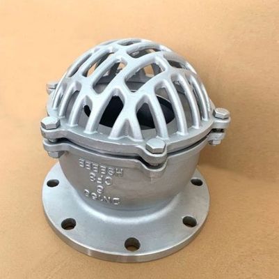 DN150 PN16 GGG50 Ductiel ijzeren voetklep met roestvrijstalen strainer voor straalpomp