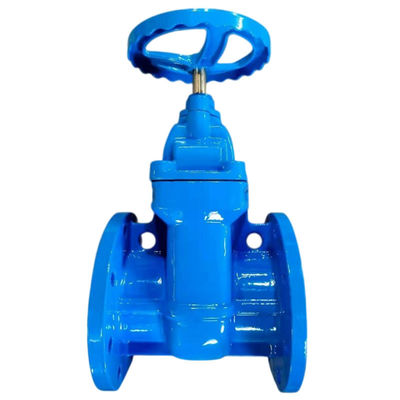 Industrie BS5163/ EN 1171 PN25 Veerkrachtig zittende buigsame ijzeren poortklep met stijgende stam