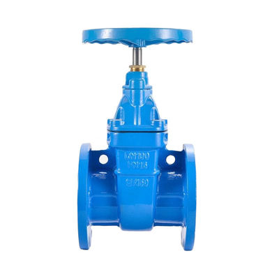 Aangepaste poortgrootte waterstelsel Bellow Seal Gate Valve voor drainage installaties