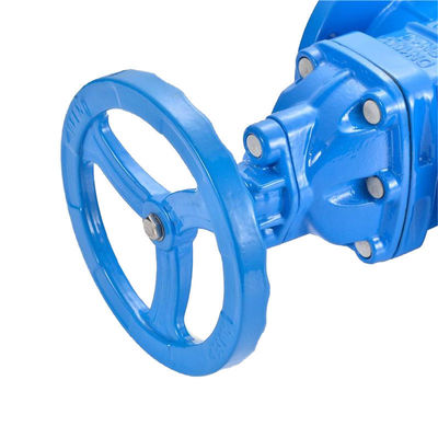 Aangepaste poortgrootte waterstelsel Bellow Seal Gate Valve voor drainage installaties
