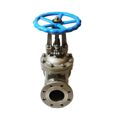 Y-type DN80 PN16 Carbon Steel Industrial Rising Stem Flange Gate Valve met buisbehang